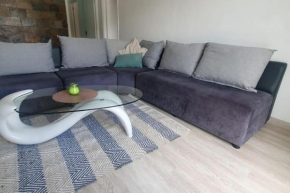 Appartment in town